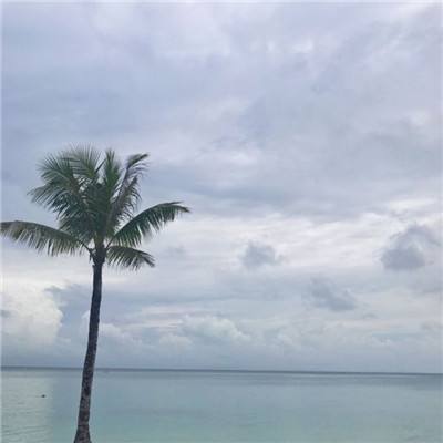 战神崛起游戏下载
