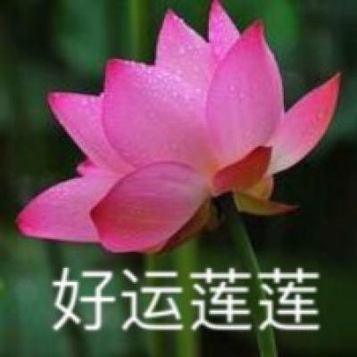 极道市长手游下载